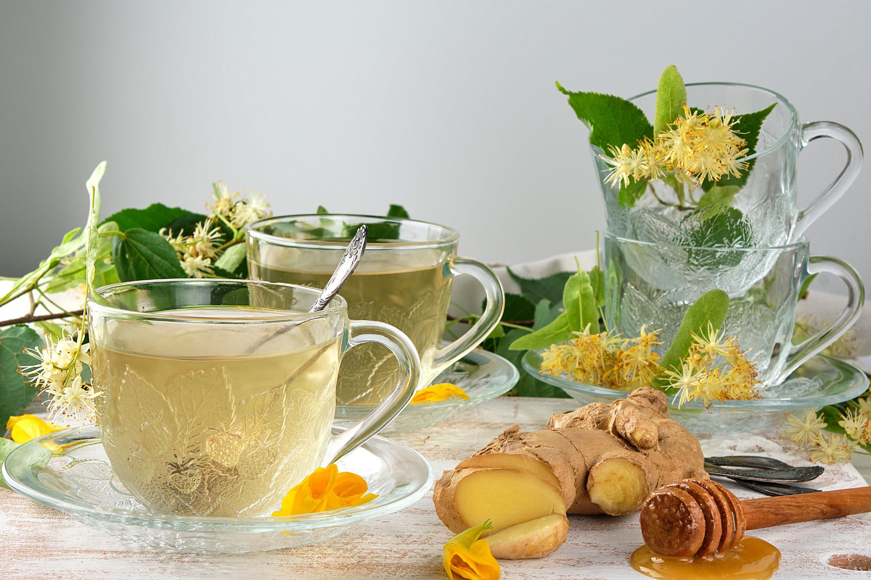 Kislevelü-hars-ár-mézelö-diszfa-Tilia cordata-csemete-www.koronakert.hu-6 kislevelű hárs, **Tilia cordata**, kislevelű hárs vásárlás, Tilia cordata ár, kislevelű hárs eladó, Tilia cordata konténeres, kislevelű hárs rendelés, Tilia cordata webshop, kislevelű hárs ültetése, Tilia cordata gondozása, kislevelű hárs metszése, Tilia cordata növekedés, kislevelű hárs magasság, Tilia cordata fagytűrés, kislevelű hárs kertbe, Tilia cordata díszfa, kislevelű hárs betegségek, Tilia cordata tippek, kislevelű hárs ültetési távolság, Tilia cordata konténer méret, kislevelű hárs online vásárlás, Tilia cordata vélemények, kislevelű hárs telepítési útmutató, Tilia cordata talajigény, kislevelű hárs napfényigény, Tilia cordata gyors növekedés, kislevelű hárs növény árak, Tilia cordata ültetési tanácsok, kislevelű hárs díszfa választás.