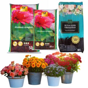 virágföld, virágföld vásárlás, virágföld ár, virágföld eladó, virágföld webshop, virágföld típusok, virágföld vélemények, virágföld nagyker, virágföld házhozszállítás, virágföld balkonládába, virágföld kertbe, virágföld szobanövényekhez, virágföld orchideához, virágföld rózsához, virágföld univerzális, virágföld tőzegmentes, virágföld akció, virágföld 40 l, virágföld 50 l, virágföld összetétel, virágföld tápanyagtartalom, jó virágföld márkák, virágföld teszt, virágföld minőség, virágföld pH, virágföld vízmegtartó, virágföld gyors növekedés, virágföld organikus, olcsó virágföld, prémium virágföld, virágföld konténer, virágföld cserepes növényekhez, virágföld balkon növényekhez, virágföld veteményeshez, virágföld málna/gyümölcsfák alá, virágföld komposzttal, virágföld kerti virágokhoz, virágföld szállítási költség, virágföld online vásárlás, virágföld rendelés.