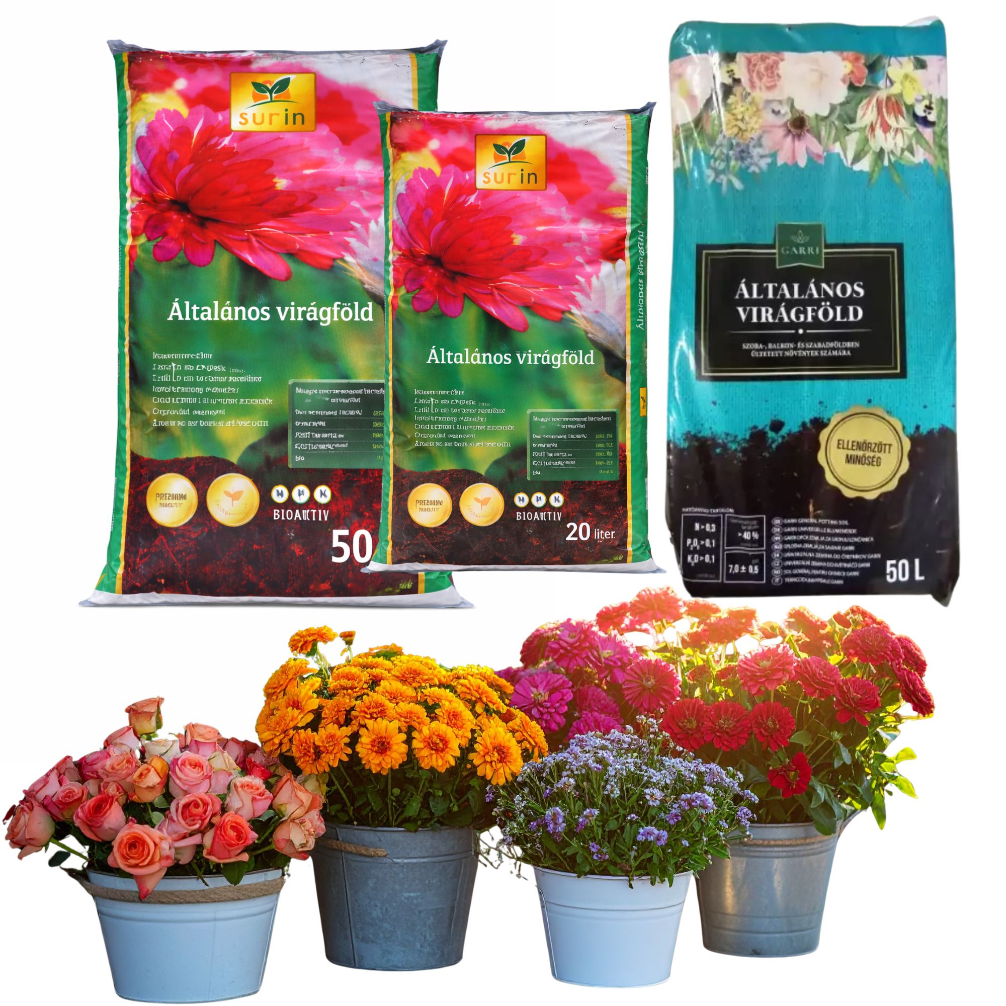 általános-virágföld-sunin-garri-marhatragya-ár virágföld, virágföld vásárlás, virágföld ár, virágföld eladó, virágföld webshop, virágföld típusok, virágföld vélemények, virágföld nagyker, virágföld házhozszállítás, virágföld balkonládába, virágföld kertbe, virágföld szobanövényekhez, virágföld orchideához, virágföld rózsához, virágföld univerzális, virágföld tőzegmentes, virágföld akció, virágföld 40 l, virágföld 50 l, virágföld összetétel, virágföld tápanyagtartalom, jó virágföld márkák, virágföld teszt, virágföld minőség, virágföld pH, virágföld vízmegtartó, virágföld gyors növekedés, virágföld organikus, olcsó virágföld, prémium virágföld, virágföld konténer, virágföld cserepes növényekhez, virágföld balkon növényekhez, virágföld veteményeshez, virágföld málna/gyümölcsfák alá, virágföld komposzttal, virágföld kerti virágokhoz, virágföld szállítási költség, virágföld online vásárlás, virágföld rendelés.