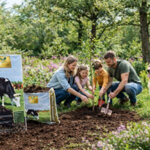 szarvasmarha-tragya-ar-www.koronakert.hu