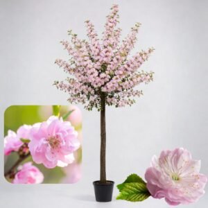 Babarozsa-ar-rozsaszin-viragu-prunus-triloba-multiplex-diszfa-www.koronakert.hu