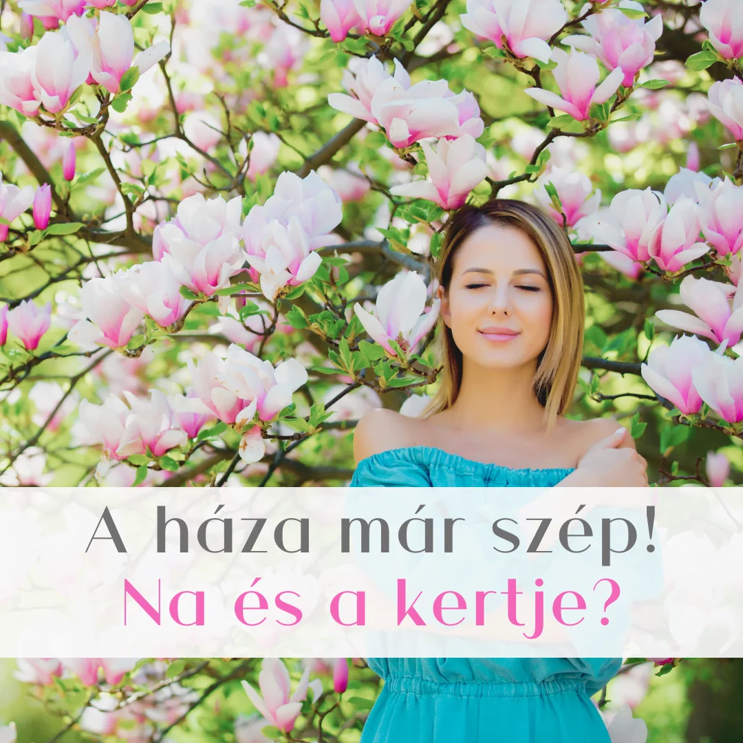 Kertészet-dísznövény-gömb-diszfa-söveny-növeny