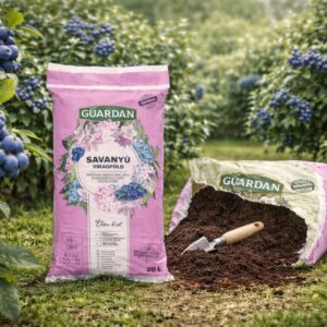 savanyú virágföld, savanyú virágföld vásárlás, savanyú virágföld ár, savanyú virágföld eladó, savanyú virágföld webshop, savanyú virágföld 40 l, savanyú virágföld 50 l, savanyú virágföld pH, savanyú virágföld orchideához, savanyú virágföld áfonya, savanyú virágföld rhododendronhoz, savanyú virágföld hortenzia, savanyú virágföld azálea, savanyú virágföld tőzegmentes, savanyú virágföld komposztos, savanyú virágföld bio, savanyú virágföld akció, savanyú virágföld vélemények, savanyú virágföld minőség, savanyú virágföld talajnak, savanyú virágföld kertbe, savanyú virágföld konténeres, savanyú virágföld házhozszállítás, savanyú virágföld használata, savanyú virágföld kertészet, olcsó savanyú virágföld, prémium savanyú virágföld, savanyú virágföld online vásárlás, savanyú virágföld rendelés, savanyú virágföld összehasonlítás, savanyú virágföld tápanyag, savanyú virágföld pH érték.