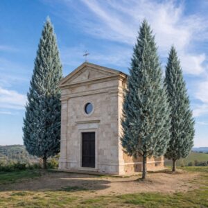 arizoniai ciprus ár-örökzöld-fenyő-ciprus-cedrus-diszfa-www.koronakert.hu