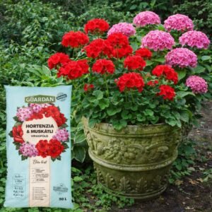 muskatli-viragfold-ar-savanyu-palanta-altalanos-tozeg-afonyafold-hortenzia-magnolia-fold-www.koronakert.h