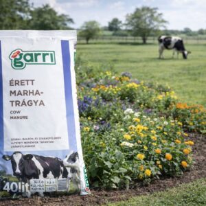 marhatrágya, marhatrágya vásárlás, marhatrágya ár, marhatrágya eladó, marhatrágya webshop, marhatrágya 40 l, marhatrágya 50 l, marhatrágya zsák, marhatrágya komposzt, marhatrágya talajjavító, marhatrágya kertbe, marhatrágya zöldségágyás, marhatrágya szerves trágya, marhatrágya talajfeltöltés, marhatrágya tápanyag, marhatrágya nitrogén, marhatrágya foszfor, marhatrágya kategóriák, marhatrágya minőség, marhatrágya szagcsökkentett, marhatrágya ökológiai, marhatrágya bio, marhatrágya akció, marhatrágya ingyenes házhozszállítás, marhatrágya vélemények, marhatrágya használata, marhatrágya kijuttatás, marhatrágya ár összehasonlítás, marhatrágya csomagolás, marhatrágya komposztálás, marhatrágya online vásárlás, marhatrágya rendelés.