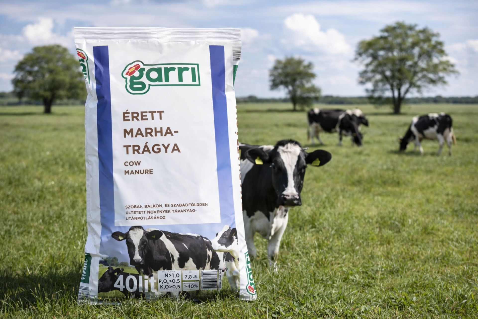 4 marhatrágya, marhatrágya vásárlás, marhatrágya ár, marhatrágya eladó, marhatrágya webshop, marhatrágya 40 l, marhatrágya 50 l, marhatrágya zsák, marhatrágya komposzt, marhatrágya talajjavító, marhatrágya kertbe, marhatrágya zöldségágyás, marhatrágya szerves trágya, marhatrágya talajfeltöltés, marhatrágya tápanyag, marhatrágya nitrogén, marhatrágya foszfor, marhatrágya kategóriák, marhatrágya minőség, marhatrágya szagcsökkentett, marhatrágya ökológiai, marhatrágya bio, marhatrágya akció, marhatrágya ingyenes házhozszállítás, marhatrágya vélemények, marhatrágya használata, marhatrágya kijuttatás, marhatrágya ár összehasonlítás, marhatrágya csomagolás, marhatrágya komposztálás, marhatrágya online vásárlás, marhatrágya rendelés.