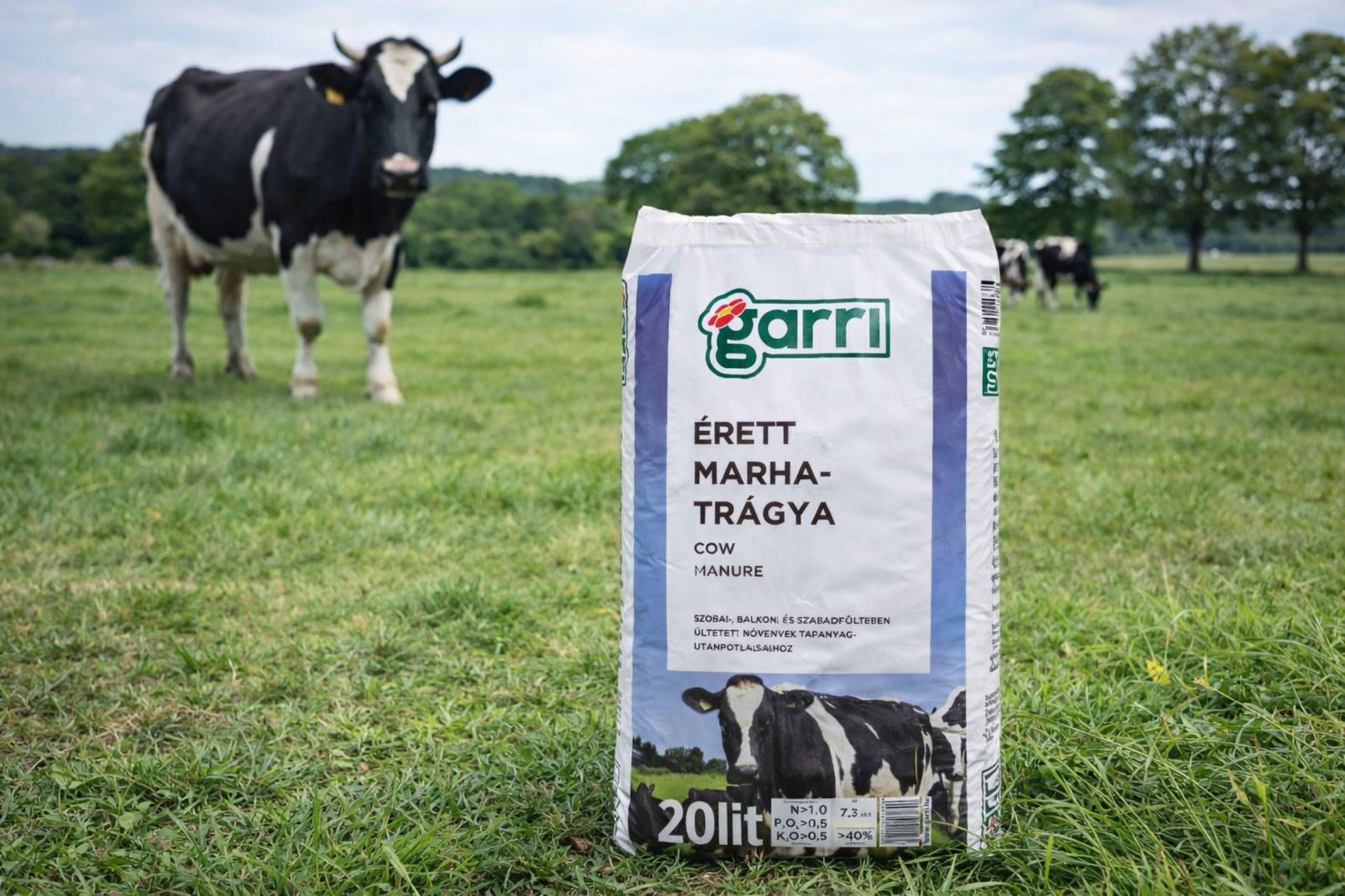 5 marhatrágya, marhatrágya vásárlás, marhatrágya ár, marhatrágya eladó, marhatrágya webshop, marhatrágya 40 l, marhatrágya 50 l, marhatrágya zsák, marhatrágya komposzt, marhatrágya talajjavító, marhatrágya kertbe, marhatrágya zöldségágyás, marhatrágya szerves trágya, marhatrágya talajfeltöltés, marhatrágya tápanyag, marhatrágya nitrogén, marhatrágya foszfor, marhatrágya kategóriák, marhatrágya minőség, marhatrágya szagcsökkentett, marhatrágya ökológiai, marhatrágya bio, marhatrágya akció, marhatrágya ingyenes házhozszállítás, marhatrágya vélemények, marhatrágya használata, marhatrágya kijuttatás, marhatrágya ár összehasonlítás, marhatrágya csomagolás, marhatrágya komposztálás, marhatrágya online vásárlás, marhatrágya rendelés.