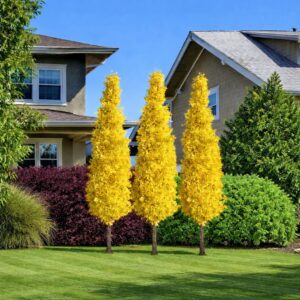 oszlopos páfrányfenyő, Ginkgo biloba Fastigiata, oszlopos ginkgo, keskeny koronájú ginkgo, ginkgo Fastigiata ár, oszlopos páfrányfenyő ár, ginkgo biloba Fastigiata eladó, oszlopos díszfa kis kertbe, keskeny növekedésű díszfa, előkertbe ültethető fa, utcafronti díszfa, sorfa telepítés, aranysárga őszi lombú fa, látványos őszi színű díszfa, legyező alakú levelű fa, különleges lombhullató díszfa, várostűrő díszfa, szárazságtűrő fa, napos helyre ültethető fa, kis helyigényű díszfa, lassú növekedésű díszfa, ginkgo faiskola, konténeres ginkgo eladó, ginkgo ültetési távolság, mekkora hely kell a ginkgónak, mikor ültethető ginkgo, porzós ginkgo Fastigiata, termés nélküli ginkgo fa
