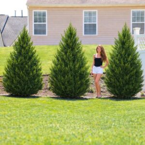 leylandi ciprus green rocket, green rocket leylandi ciprus, leylandi ciprus green rocket ár, green rocket ciprus ára, leylandi ciprus vásárlás, leylandi ciprus eladó, leylandi ciprus online rendelés, leylandi ciprus csemete, leylandi ciprus konténeres, leylandi ciprus sövénynek, gyors növekedésű örökzöld sövény, gyorsan növő sövénynövény, örökzöld sövény növény, keskeny növekedésű ciprus, oszlopos leylandi ciprus, leylandi ciprus magassága, leylandi ciprus növekedési ütem, leylandi ciprus ültetési távolság, leylandi ciprus gondozása, leylandi ciprus metszése, leylandi ciprus ültetése, leylandi ciprus mennyit nő évente, leylandi ciprus télálló, leylandi ciprus fagytűrő, leylandi ciprus napos vagy árnyékos helyre, leylandi ciprus locsolása, leylandi ciprus betegségei, leylandi ciprus barnulás oka, leylandi ciprus sövény ár méterenként, leylandi ciprus milyen sűrűn ültessük, leylandi ciprus green rocket ár 80-100 cm, leylandi ciprus green rocket ár 100-120 cm, green rocket leylandi ciprus sövénynek jó, leylandi ciprus green rocket ültetési távolság, leylandi ciprus green rocket gondozása, keskeny örökzöld sövény növény gyors növekedés, melyik leylandi ciprus a legjobb sövénynek, leylandi ciprus green rocket vs castlewellan gold, leylandi ciprus mennyit nő egy év alatt, örökzöld sövény növény takaráshoz gyorsan, leylandi ciprus vagy smaragd tuja, leylandi ciprus vagy babérmeggy, green rocket vs smaragd tuja, legjobb örökzöld sövény gyors növekedés, keskeny sövény növény kis helyre