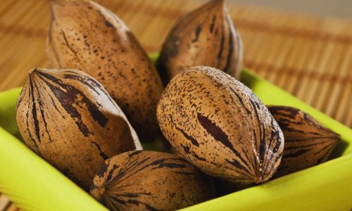 Pekándió termések egy tálban